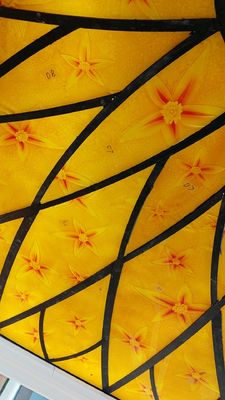Decke orange Scratchproof 12mm färbte Glasplatten